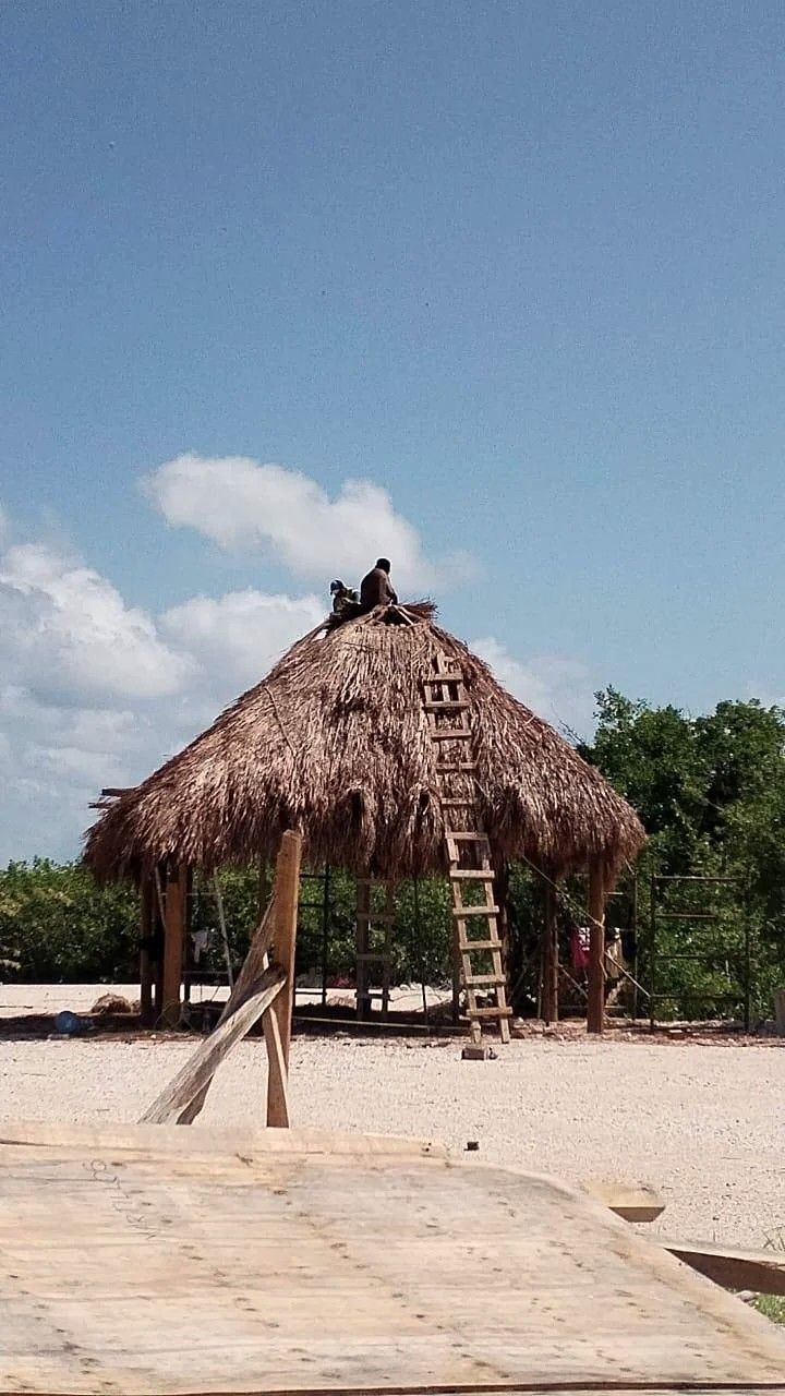 Palapa en construcción